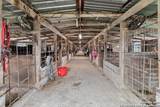 12120 Schaefer Rd - Photo 48