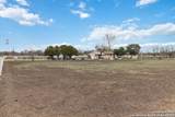 12120 Schaefer Rd - Photo 10