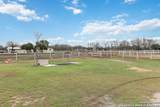 12120 Schaefer Rd - Photo 16