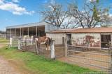 12120 Schaefer Rd - Photo 18