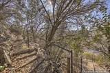 205 Cedar Cliff Loop - Photo 39