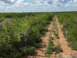 TBD County Road 2410 - Photo 2