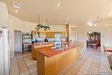 7627 Triple Wood - Photo 11