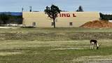 000 Tawny Oak - Photo 14