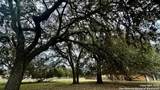000 Tawny Oak - Photo 3