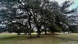 000 Tawny Oak - Photo 5