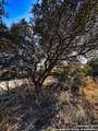 628 Indian Trail - Photo 4