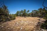 LOT 45 Mezcaya Trl - Photo 11