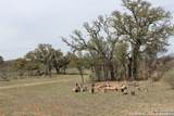 4745 County Road 120 - Photo 27
