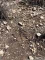 LOT 41-L & 42-L New Leona Ranch - Photo 26