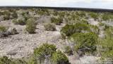 LOT 41-L & 42-L New Leona Ranch - Photo 9