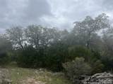 192 Macaw Ln - Photo 10