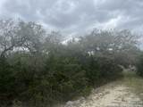 192 Macaw Ln - Photo 3