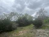 192 Macaw Ln - Photo 9