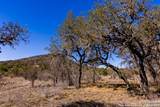 2400 Little Dry Frio Road - Photo 10