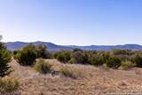 2400 Little Dry Frio Road - Photo 15
