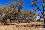 2400 Little Dry Frio Road - Photo 9