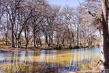 2800 Little Dry Frio Road - Photo 4