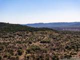 2400 Little Dry Frio Road - Photo 18