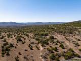 2400 Little Dry Frio Road - Photo 21