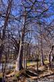 2400 Little Dry Frio Road - Photo 23