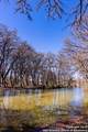 2400 Little Dry Frio Road - Photo 4