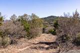 2400 Little Dry Frio Road - Photo 9