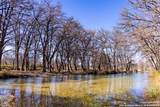 2300 Little Dry Frio Road - Photo 1
