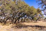 2300 Little Dry Frio Road - Photo 11