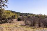 2300 Little Dry Frio Road - Photo 13