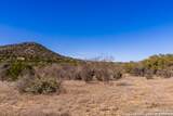 2300 Little Dry Frio Road - Photo 14