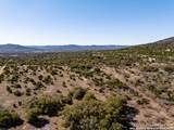 2300 Little Dry Frio Road - Photo 21