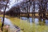 2300 Little Dry Frio Road - Photo 6