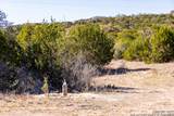 2350 Little Dry Frio Road - Photo 10