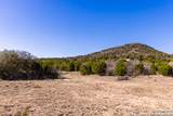 2350 Little Dry Frio Road - Photo 13