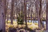 2350 Little Dry Frio Road - Photo 22