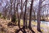 2350 Little Dry Frio Road - Photo 23