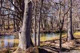 2350 Little Dry Frio Road - Photo 5