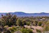 2350 Little Dry Frio Road - Photo 8