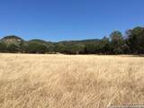 2844 Bear Springs Rd - Photo 42