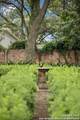 424 Ivy - Photo 70
