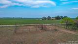 TBD County Road 404 - Photo 11