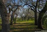 TBD County Road 404 - Photo 14