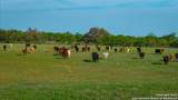 TBD County Road 404 - Photo 24