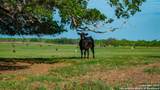 TBD County Road 404 - Photo 4
