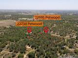 22734 Petwood - Photo 11