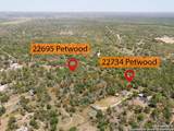 22734 Petwood - Photo 7