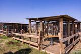 5025 State Highway 16 - Photo 38
