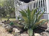 517 Timberdell Dr - Photo 5