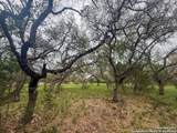 23407 Osceola Bluff - Photo 10